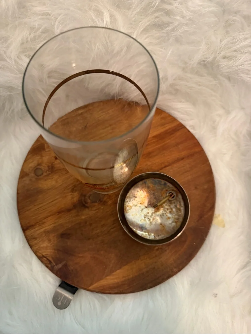Vintage West Virginia Glass Cocktail Shaker Pheasant